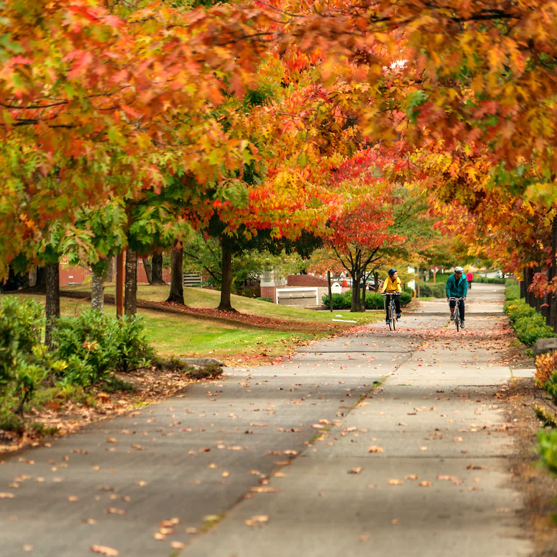 Parks in Seattle Southside | Explore Seattle Southside